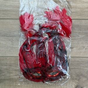 Red‎ Feather Mask